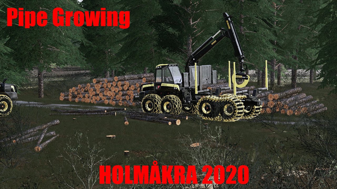 FS19 | New Start On Holmåkra | It's growing! | EP6