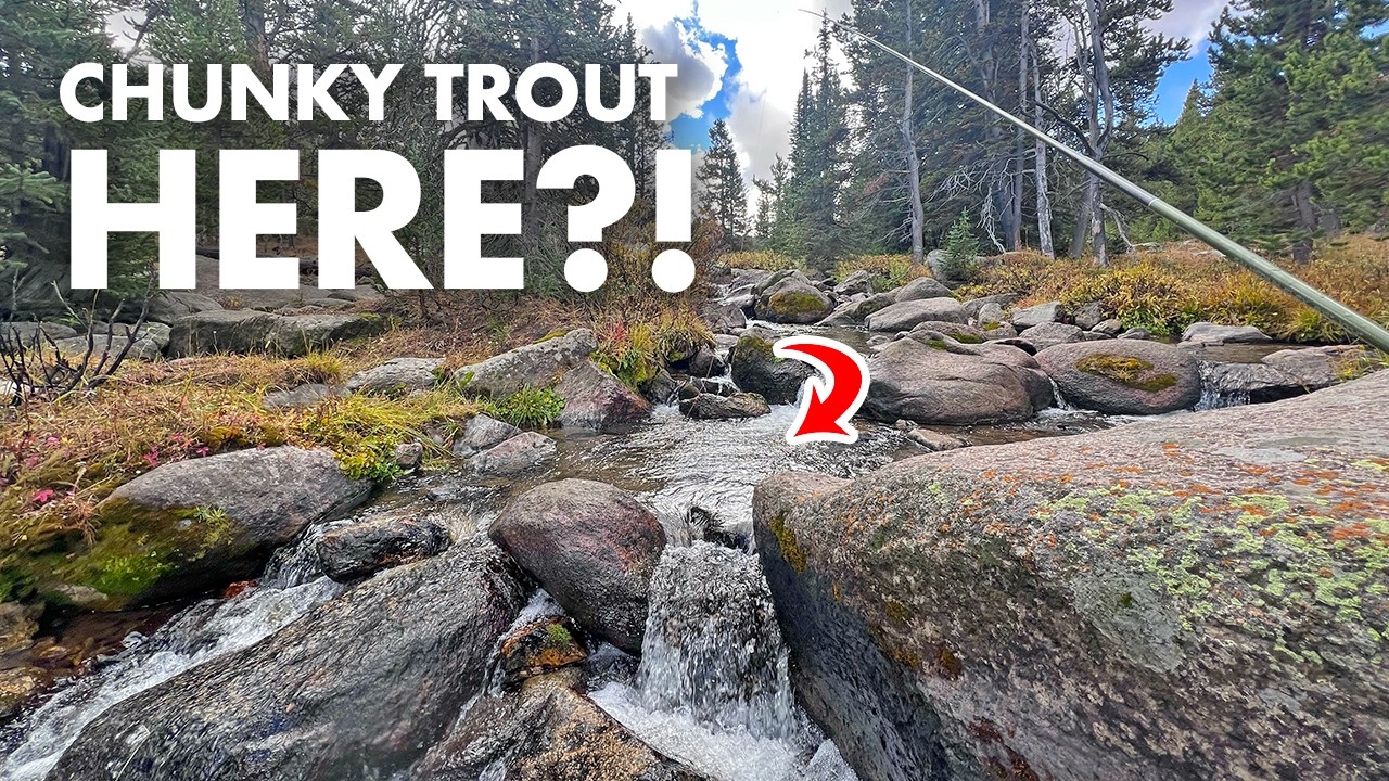 This Tiny Mountain Creek Surprised Me! (Tenkara Fly Fishing)