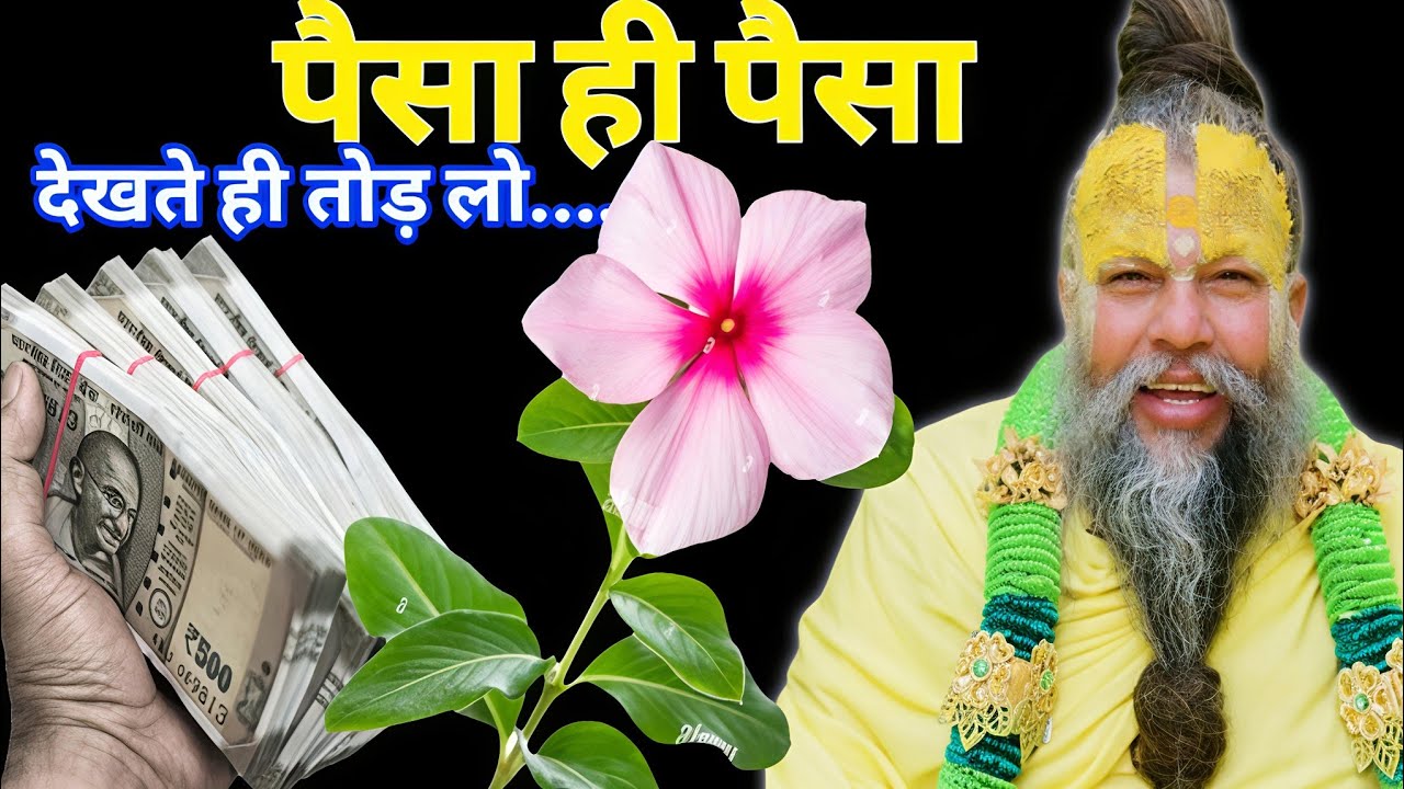 सिर्फ एक पौधा बदले आपकी किस्मत:धन विवाह और सफलता के गुप्त उपायघर में लगाते ही खुलेंगे भाग्य के द्वार