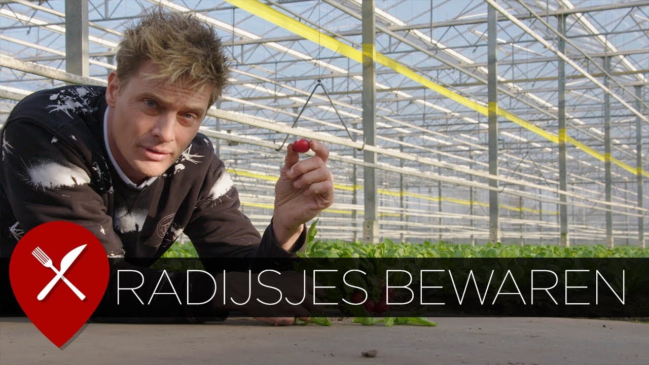 Radijsjes bewaren