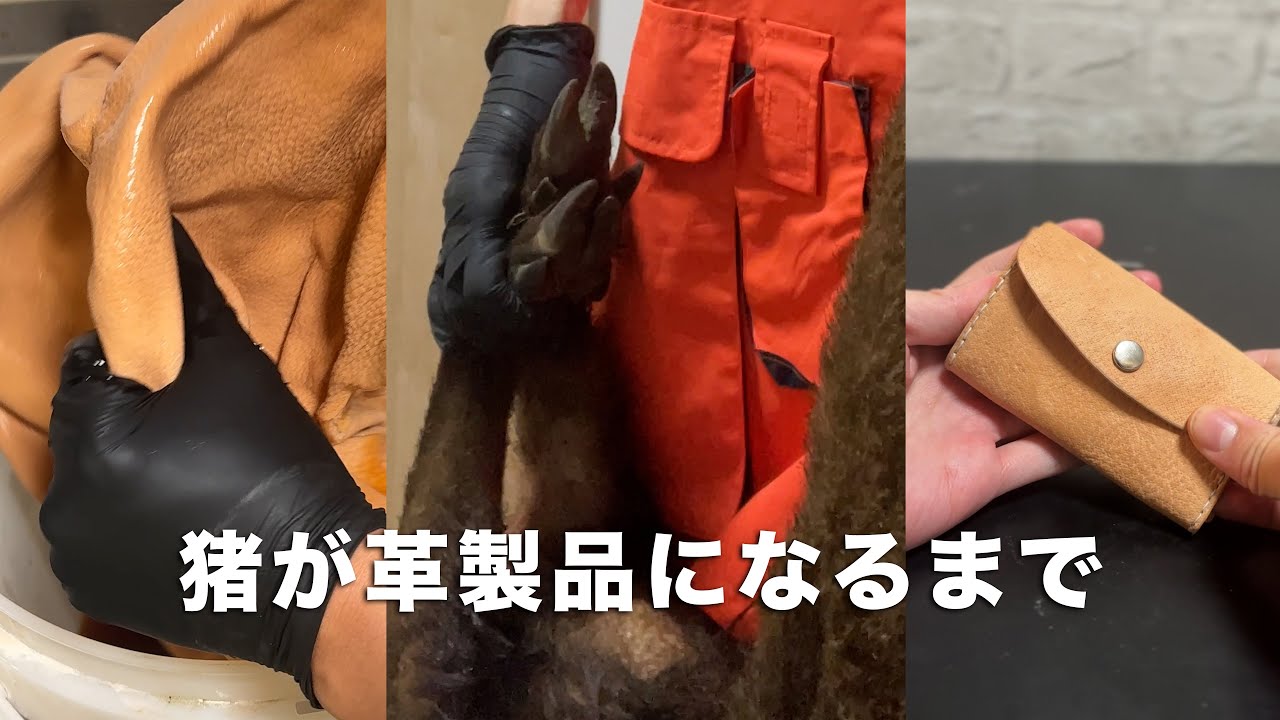 簡単に自宅でできる本格的な革鞣しのやり方#いのししの人 #レザークラフト　#革鞣し #leathercraft