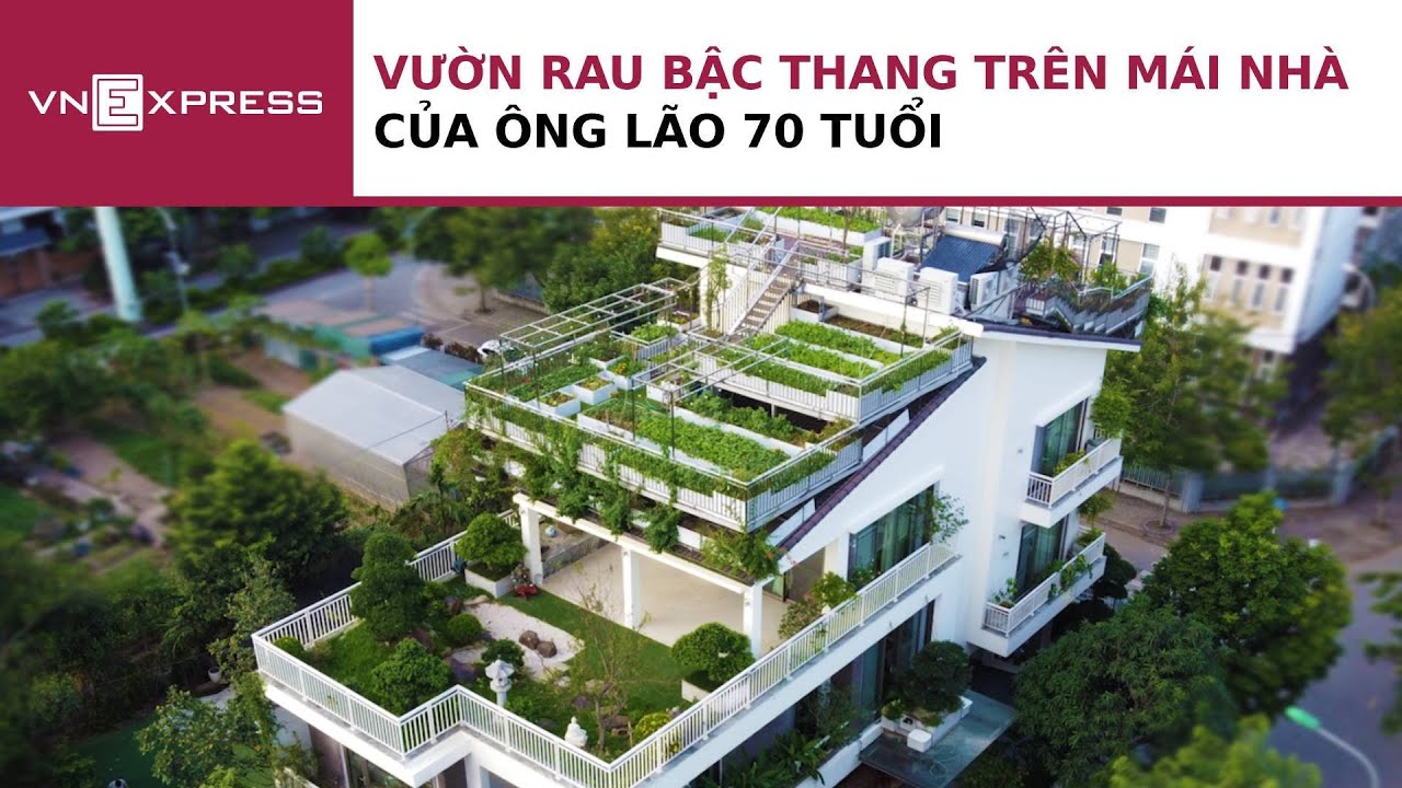 Vườn rau bậc thang trên mái nhà của ông lão 70 tuổi | VnExpress