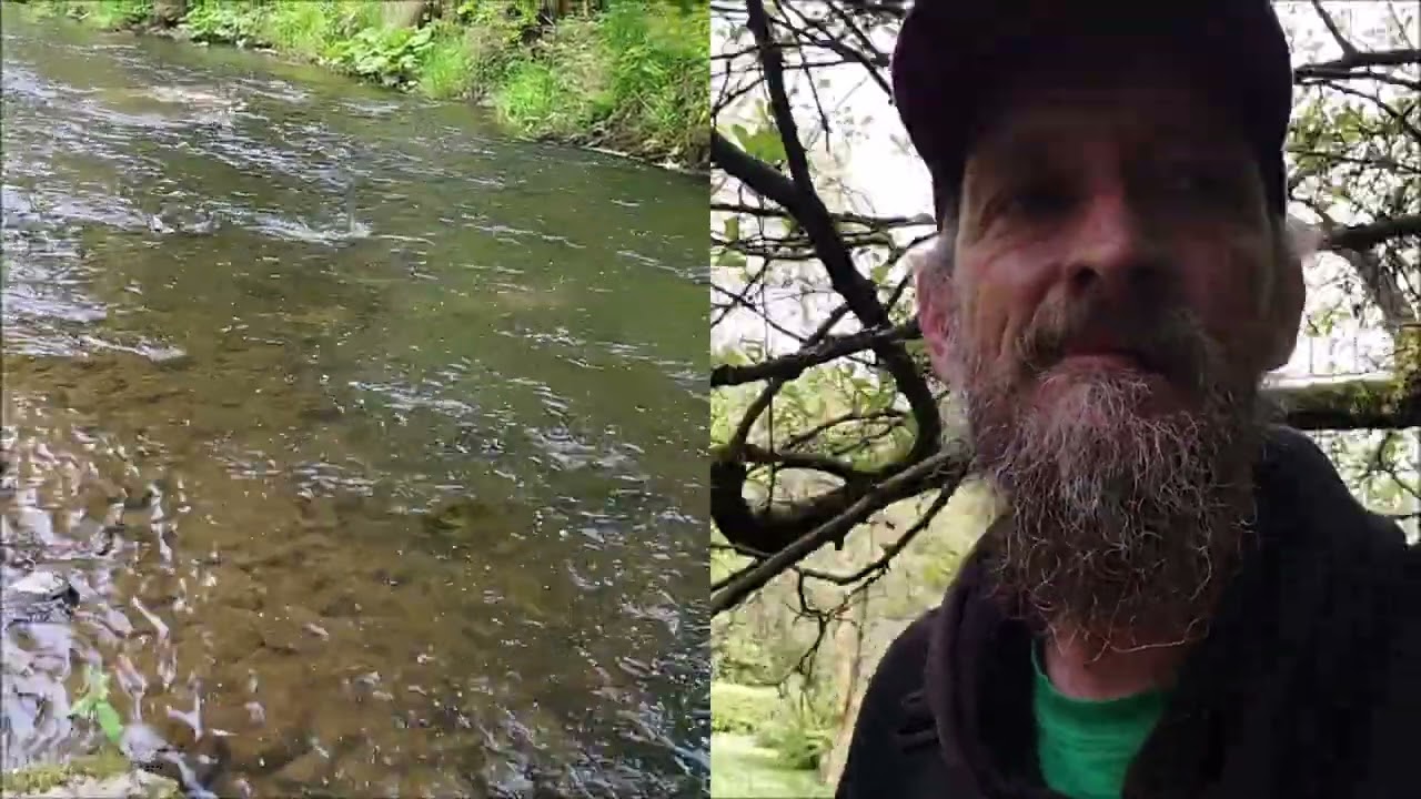 Střela, rýžování zlata.