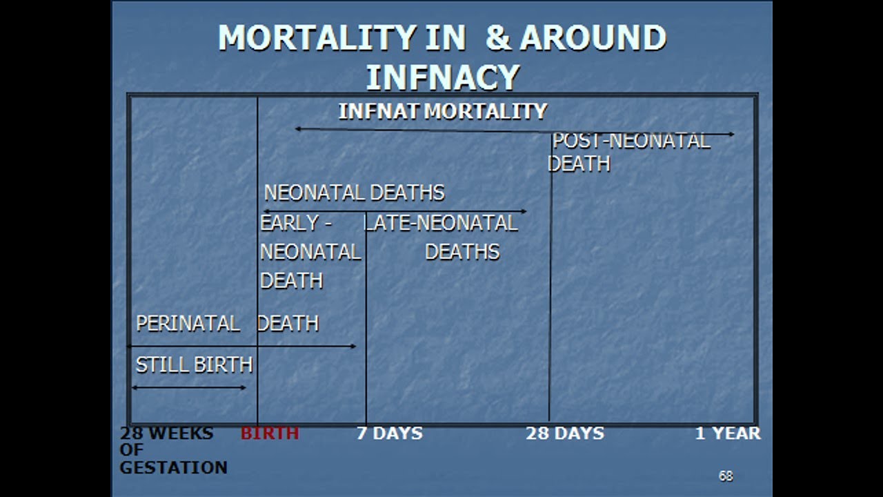 Perinatal Mortality Rate; reflects the number of stillbirths and early neonatal deaths