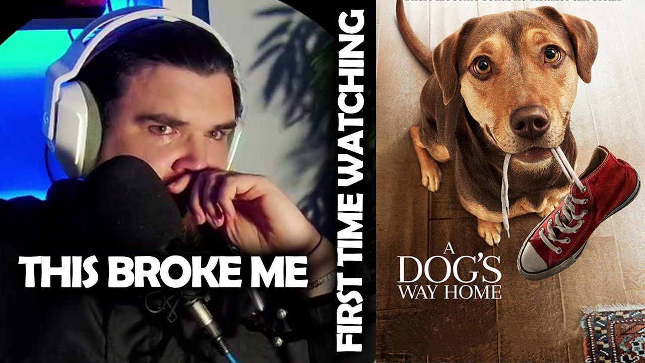 FIRST TIME WATCHING A Dog's Way Home Movie Reaction