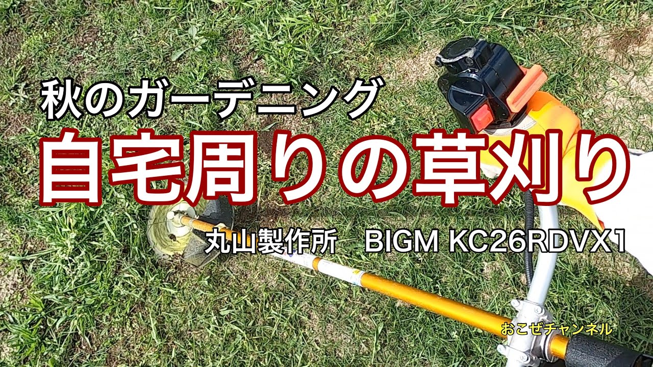 自宅周りの草刈り　秋のガーデニング
