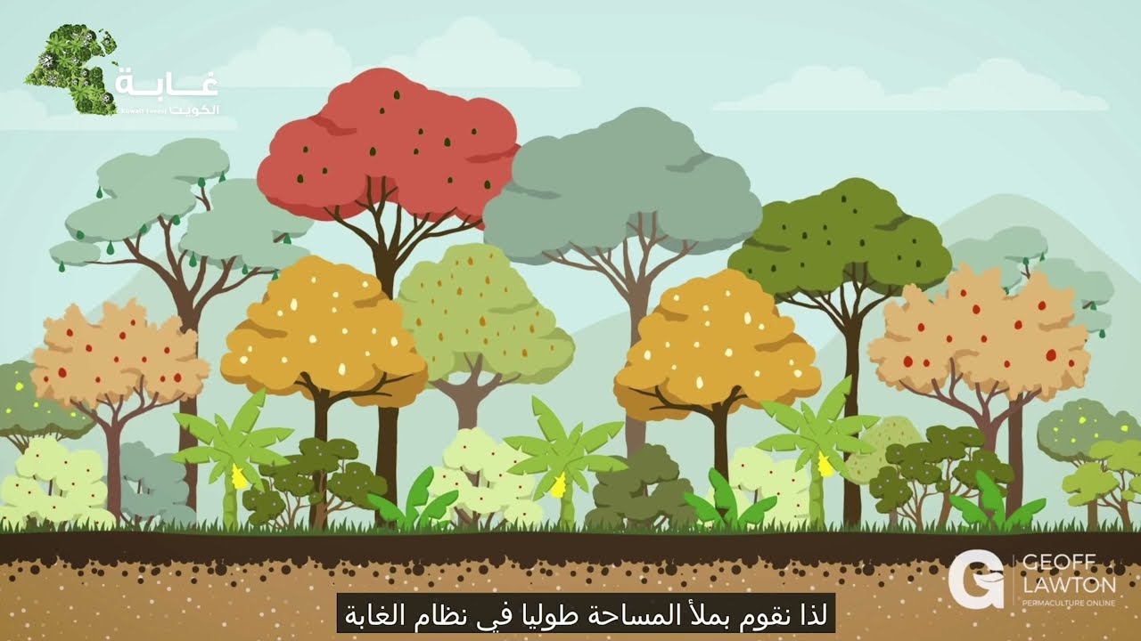 خطة غابة الكويت