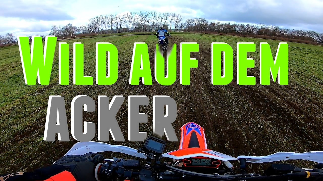 Wild auf dem Acker, Enduro in Holland