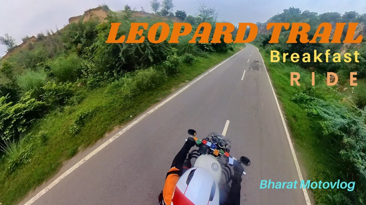 Leopard Trail Jungle Cafe Exploration |Aravalli Hills| Bharat Motovlog #leopardtrail #rider #travel