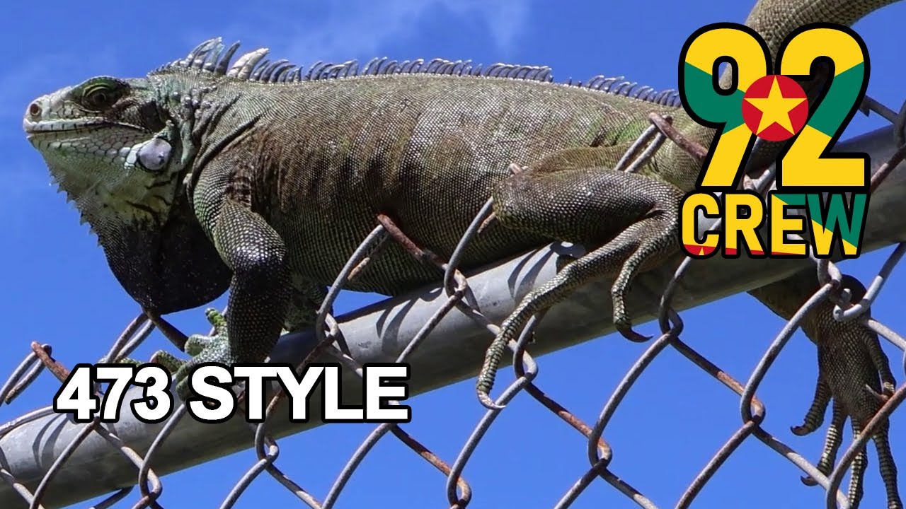 473 Style | 92 Crew Caribbean Jungle DnB with DJ 473 feat Ron