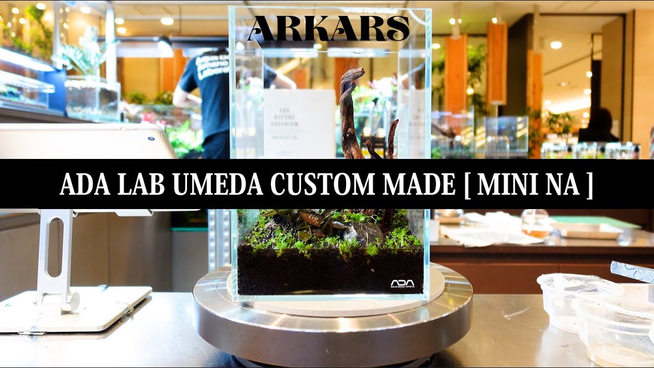 ARKARS_053「ADA LAB UMEDA CUSTOM MADE [MINI NA] 」