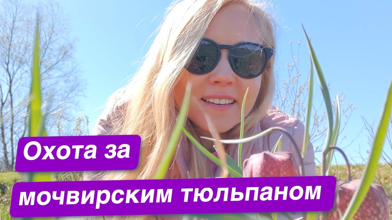 Прогулка по Люблянскому барью. Мочвирский тюльпан. Природа Словении. Словения. Любляна