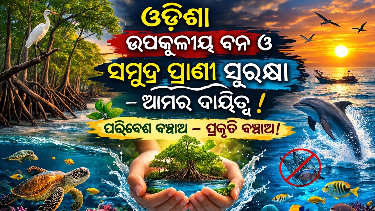 ଓଡ଼ିଶା ଉପକୂଳୀୟ ବନ ଓ ସମୁଦ୍ର ପ୍ରାଣୀ ସୁରକ୍ଷା – ଆମର ଦାୟିତ୍ୱ | Corruption Free Odisha