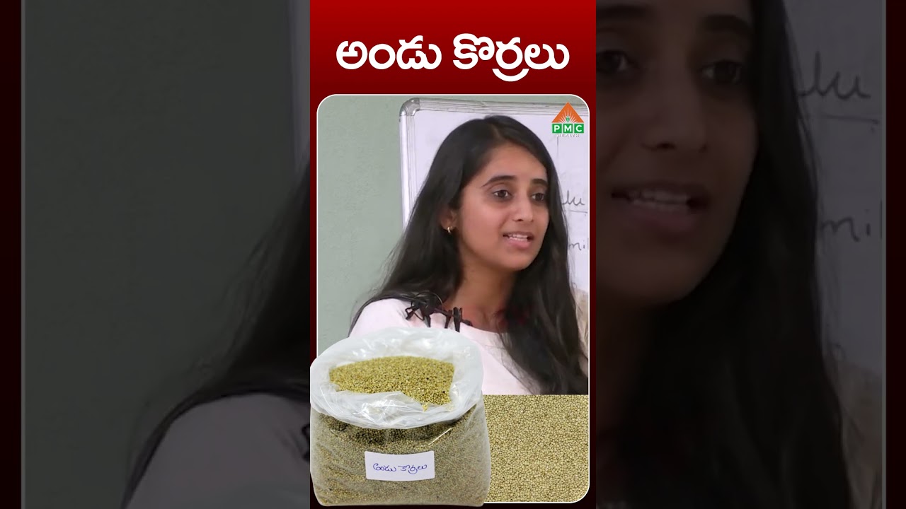 అండు కొర్రలు ఉపయోగాలు | Andu Korralu Health Benefits | PMC Health