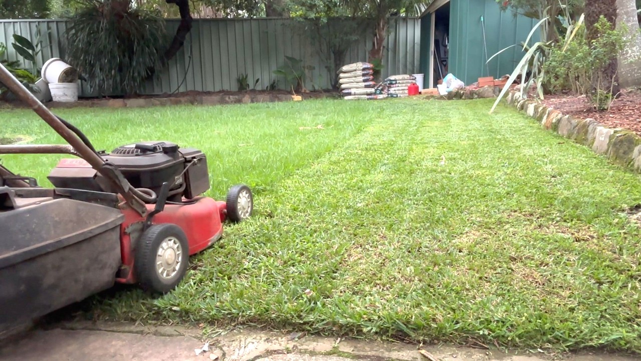 Early Autumn Lawn Mowing & Trimming. 🍂