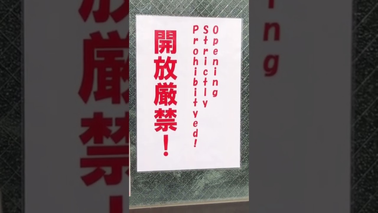 JAPANESE ENGLISH TRANSLATION 