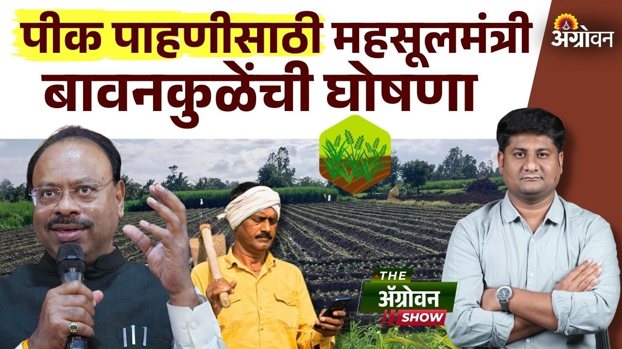 Pik Pahani : महसूल मंत्री चंद्रशेखर बावनकुळे यांनी पीक पाहणीला मुदत वाढीची केली घोषणा | Agrowon