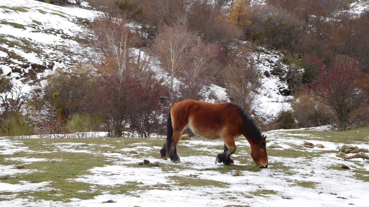 Senda Fuente Cobre y Lagunas del Sel de la Fuente