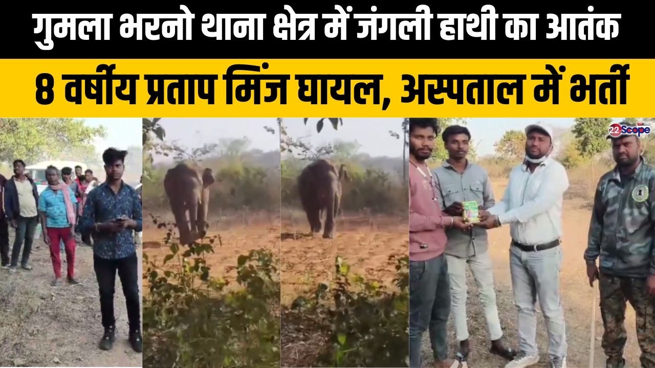 गुमला भरनो थाना क्षेत्र में जंगली हाथी का आतंक, 28 वर्षीय प्रताप मिंज घायल, अस्पताल में भर्ती