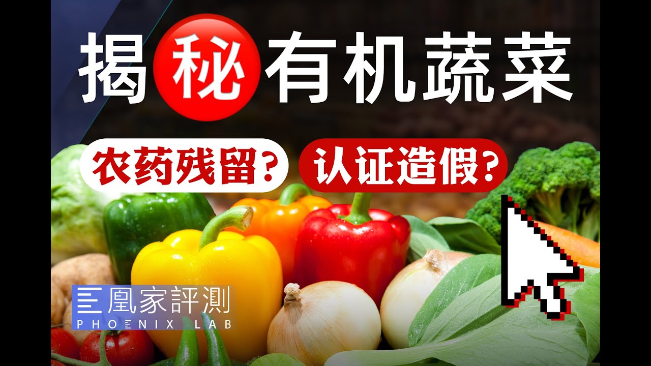 揭秘有机蔬菜：3万元就给认证？这水有点深丨凰家实验室