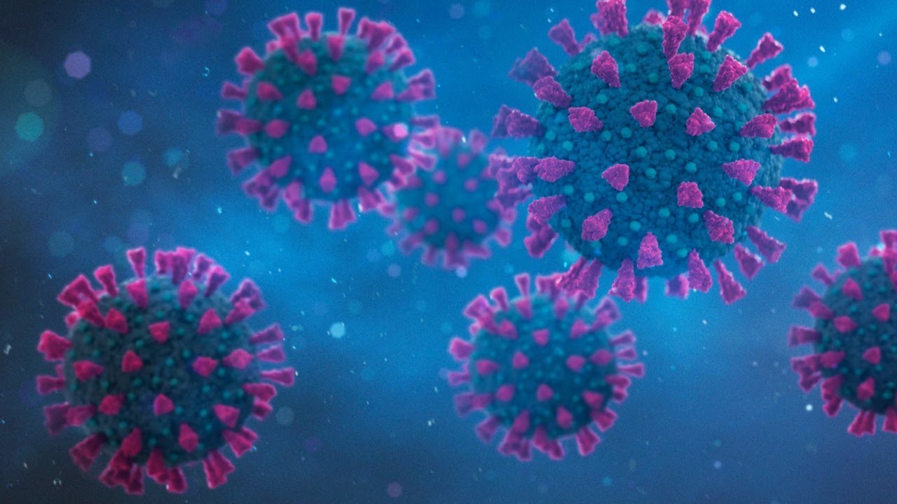 EU urges travel bans amid concerns over Omicron COVID-19 variant