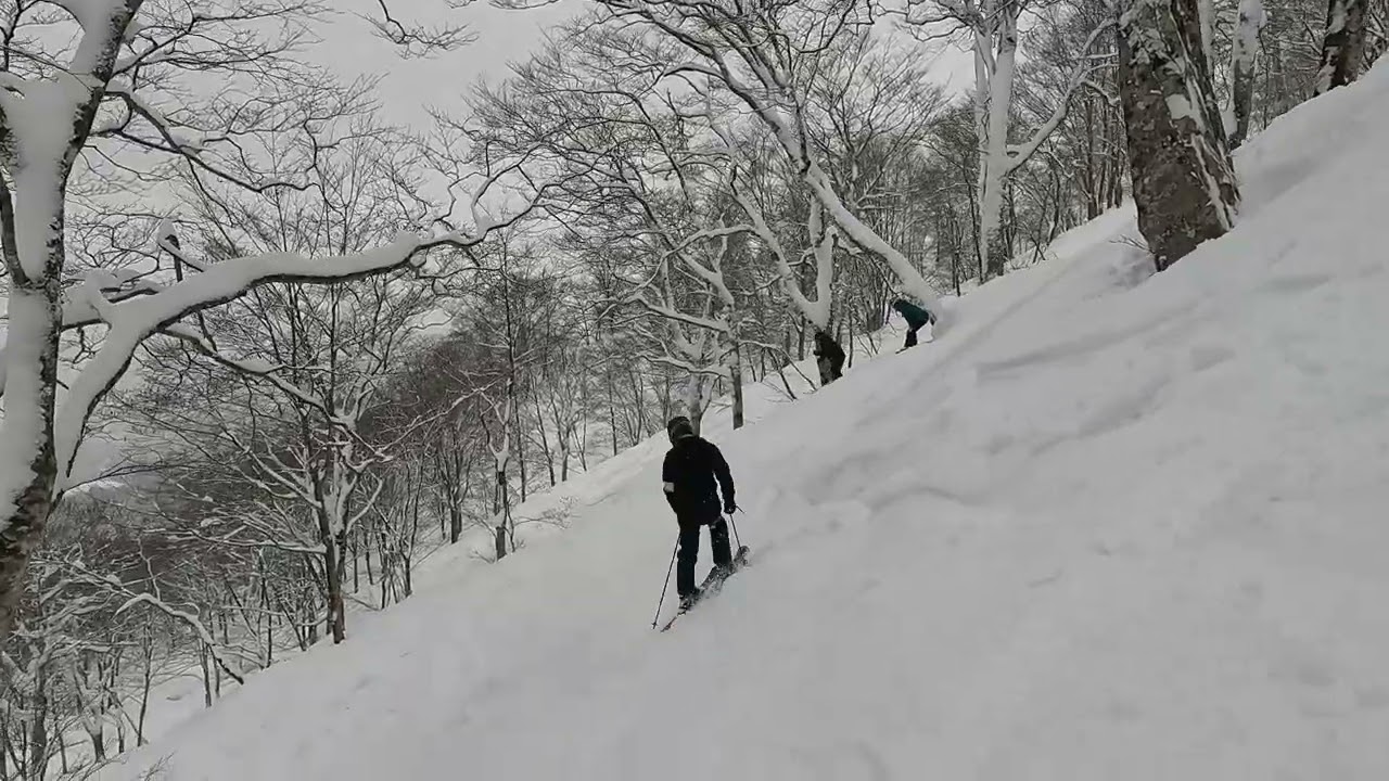 20230122 Geto Kogen Tree Run (Beech)
