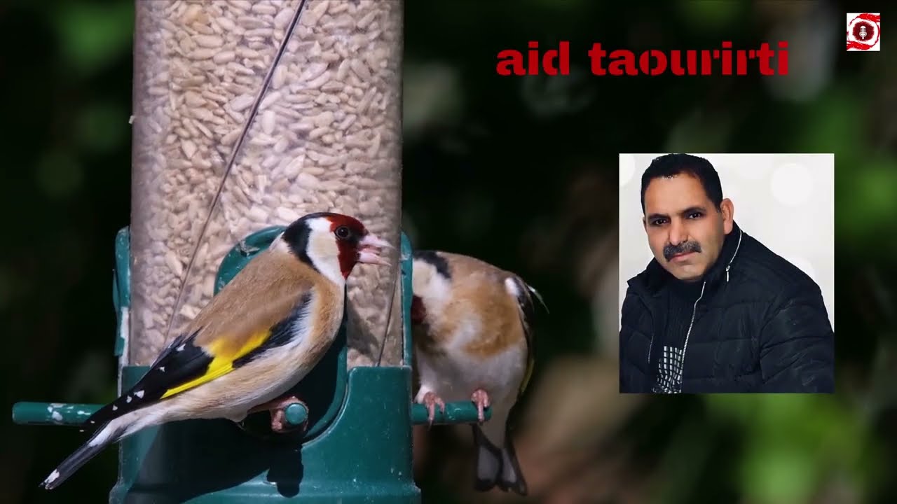 el aid taouriti - mechyakha - 2022 remix - العيد التاوريرتي مشيخة في خاطر لحباب