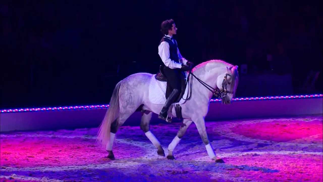 APASSIONATA - The Show