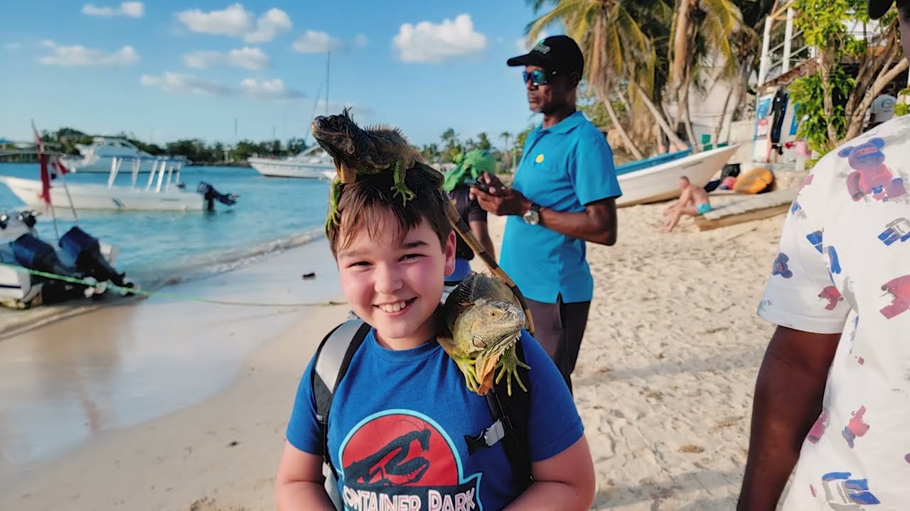 Saona Island Excursions: What to Know Before You Visit the Dominican Republic