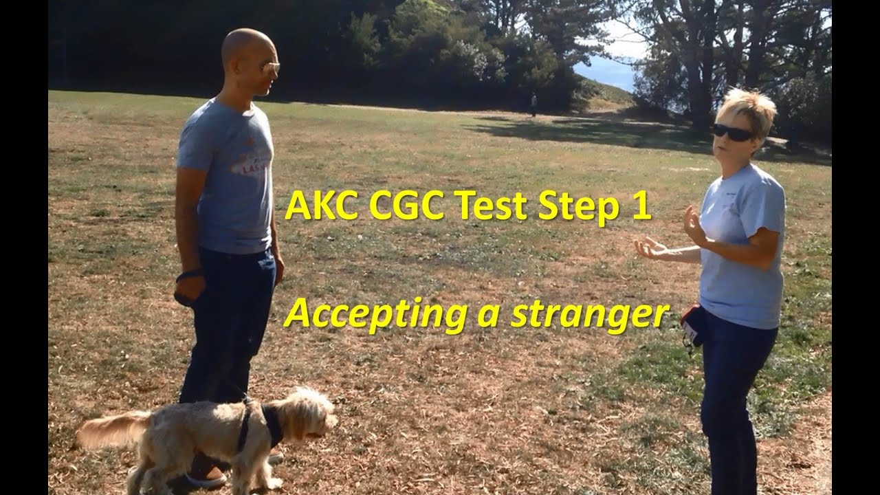 AKC CGC Test - Step 1 - Accepting a Friendly Stranger