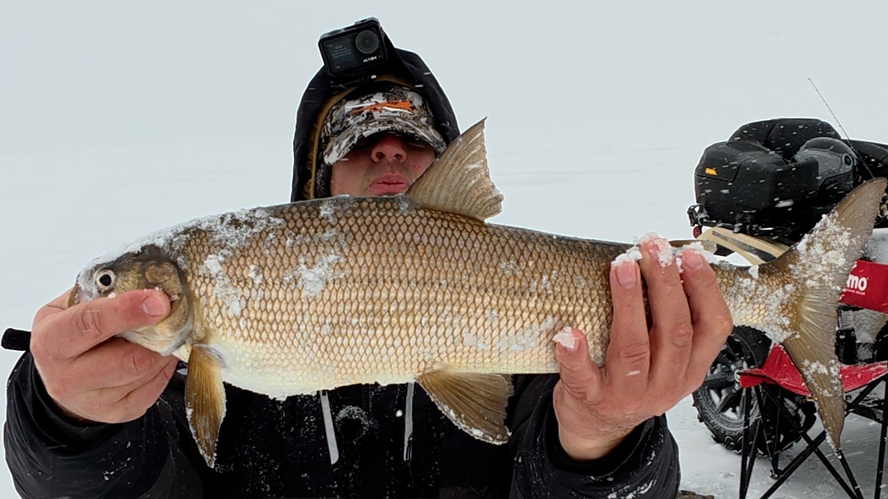 Шторм на озере! Но сига всё-таки нашли🎣| Lake Simcoe