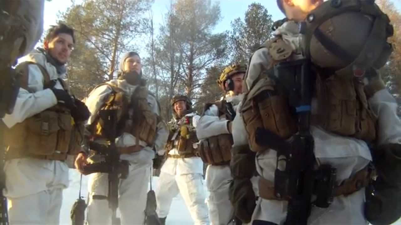 Artilleribatajonen Batteri Nils Dimmefilm kont 1308