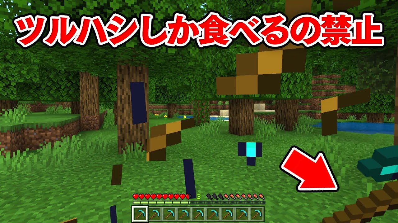 ツルハシしか食べられない世界でダイヤチャレンジ【縛り】【マイクラ】
