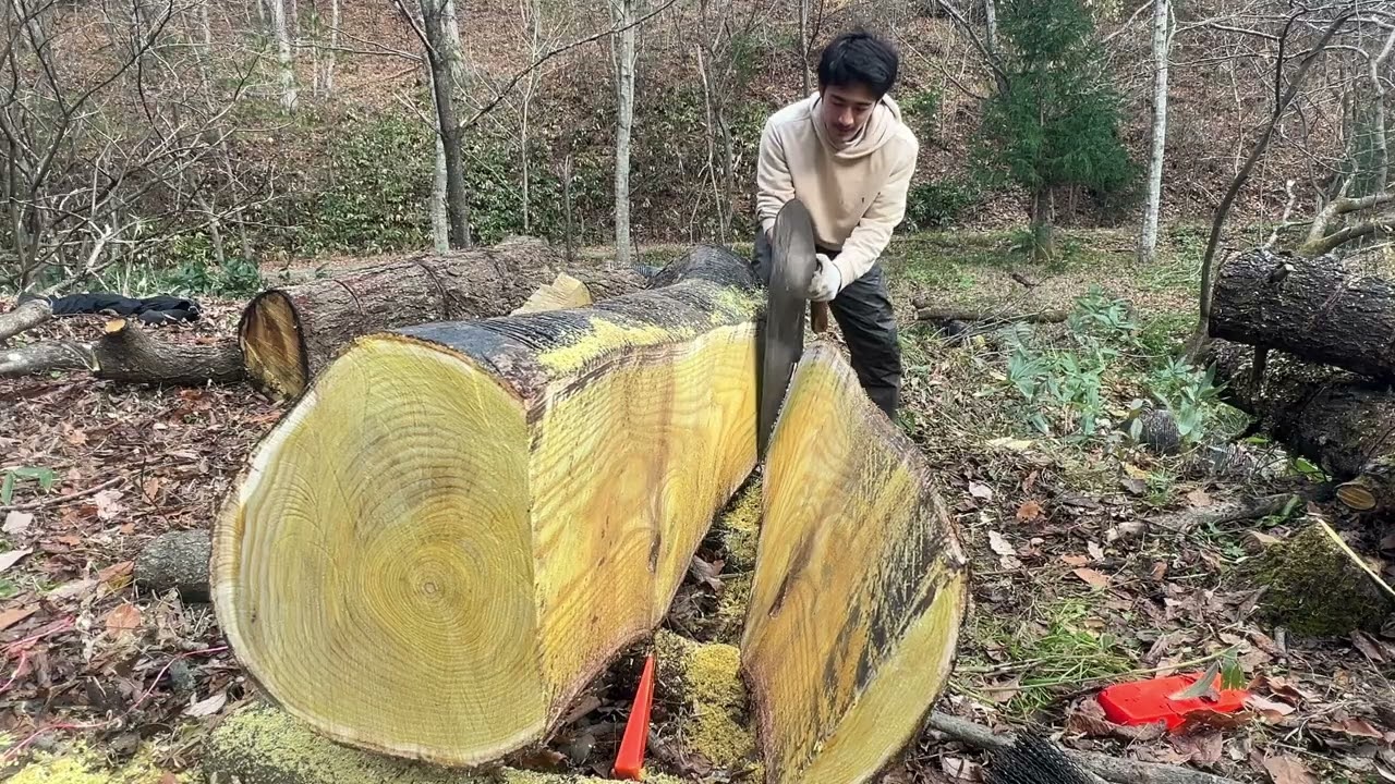 大きなノコギリ　Giant Saw
