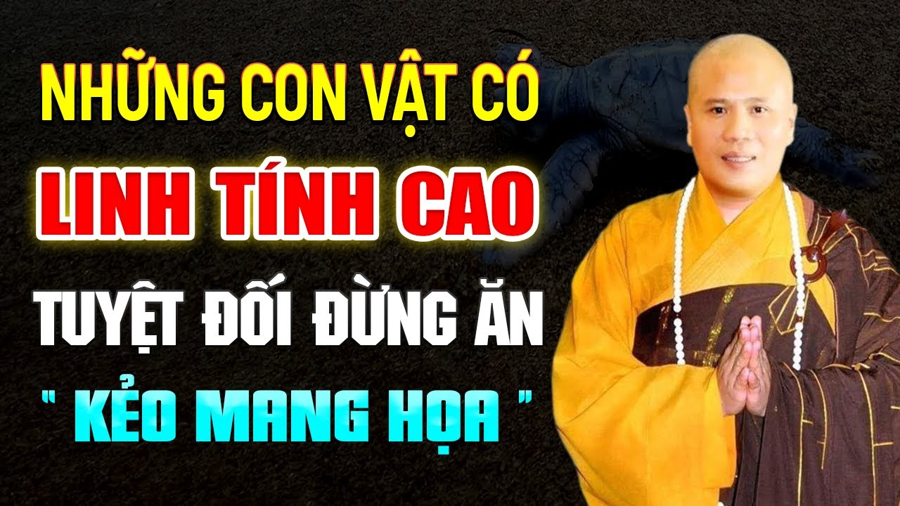 Những Con Vật Có Linh Tính Cao Tuyệt Đối Đừng Ăn Kẻo Mang Họa | Thầy Thích Giác Nhàn