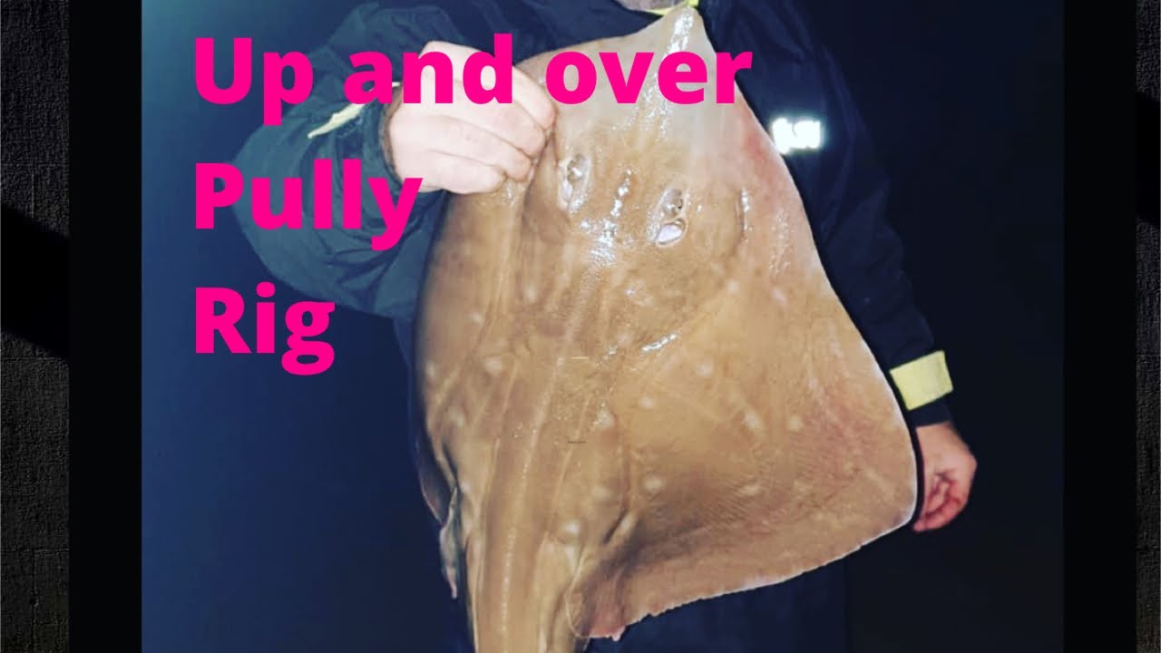 Sea fishing  uk , rigs , up and over pully