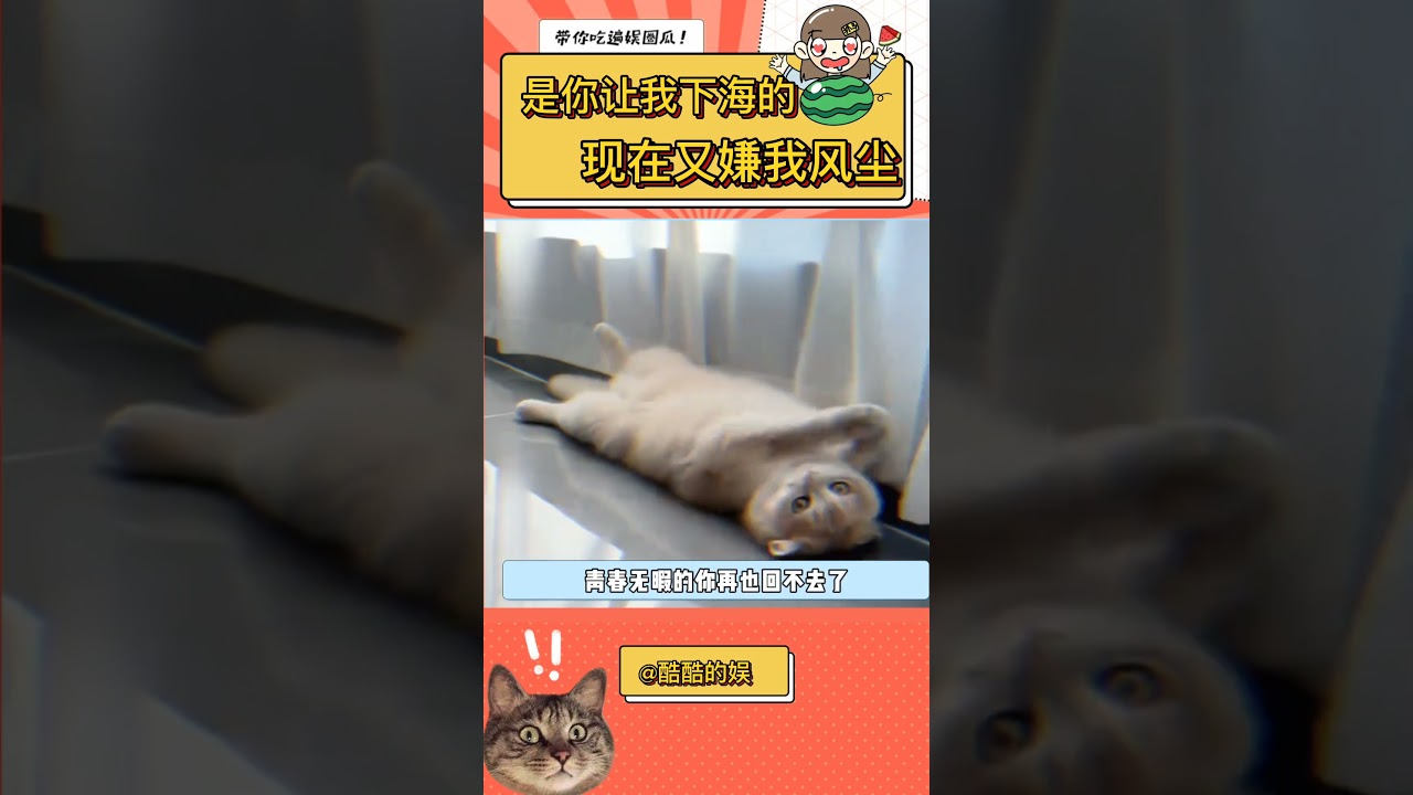 你们人类真的是大猪蹄子!
