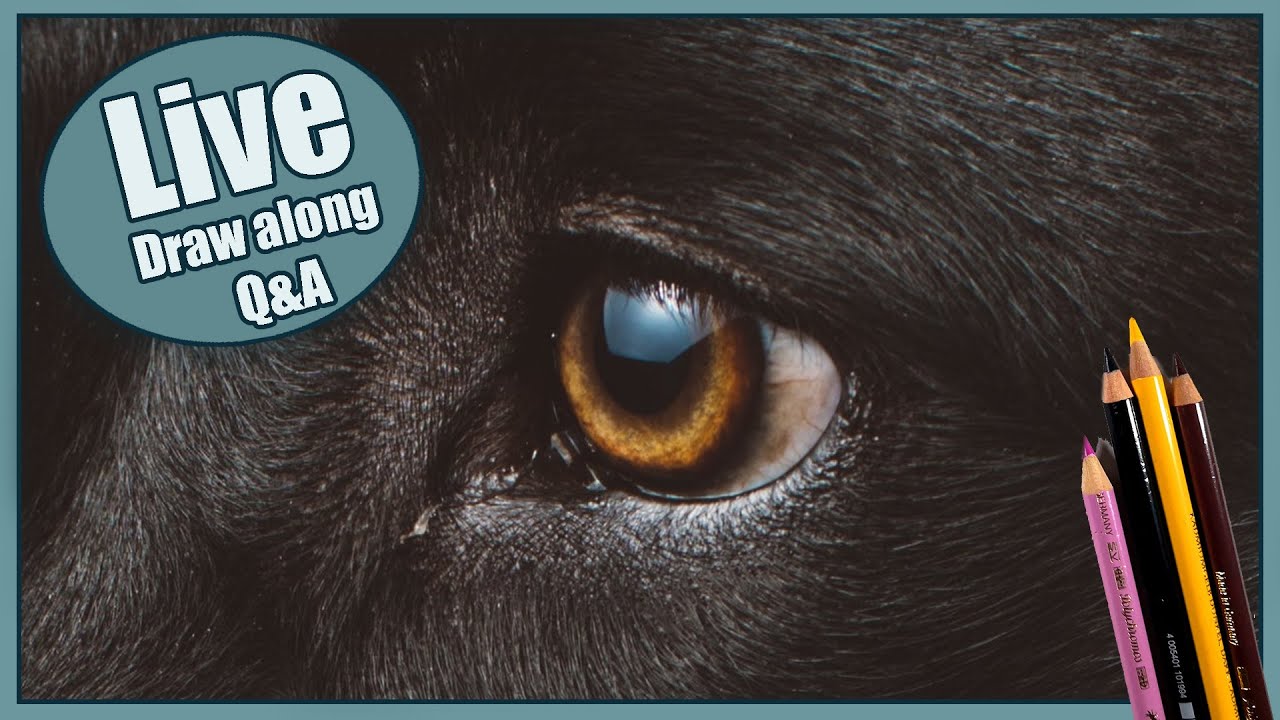 Draw a DOG EYE with me | Colored pencils| LIVESTREAM