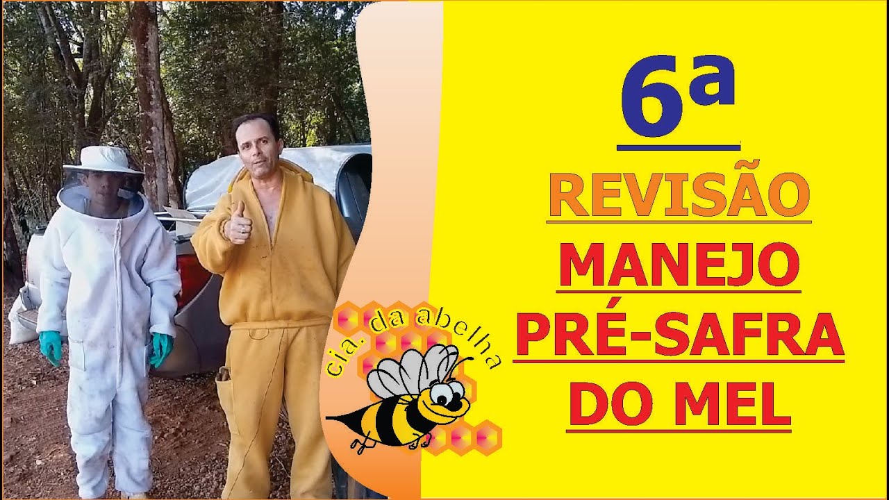 6ª REVISÃO DO MANEJO PRÉ-SAFRA. FLORADA 2020 DO MEL CHEGANDO COM MUITA FORÇA.