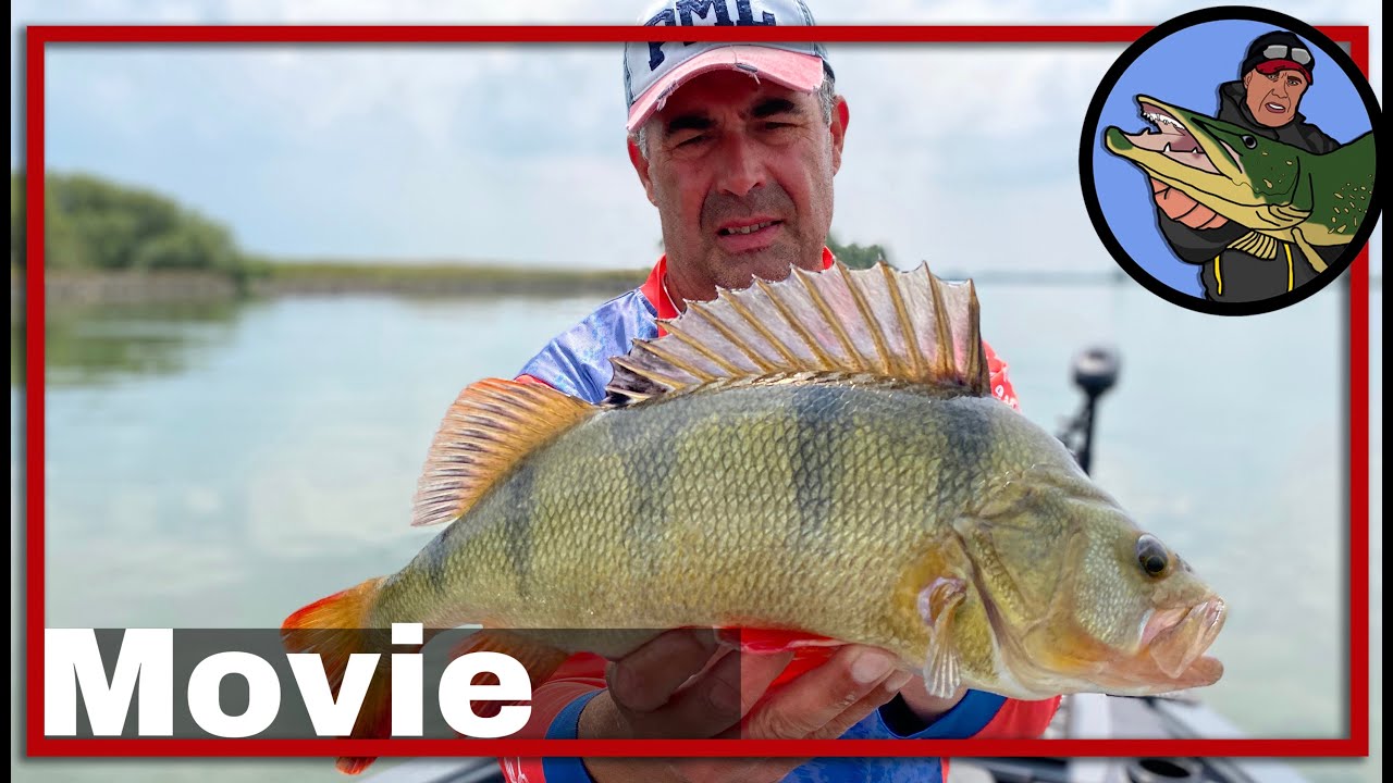 🎣 ROOFVISSEN OP DE RIVIER MET KUNSTAAS  🎥  baars | snoekbaars | snoek | roofblei | kunstaas   #21