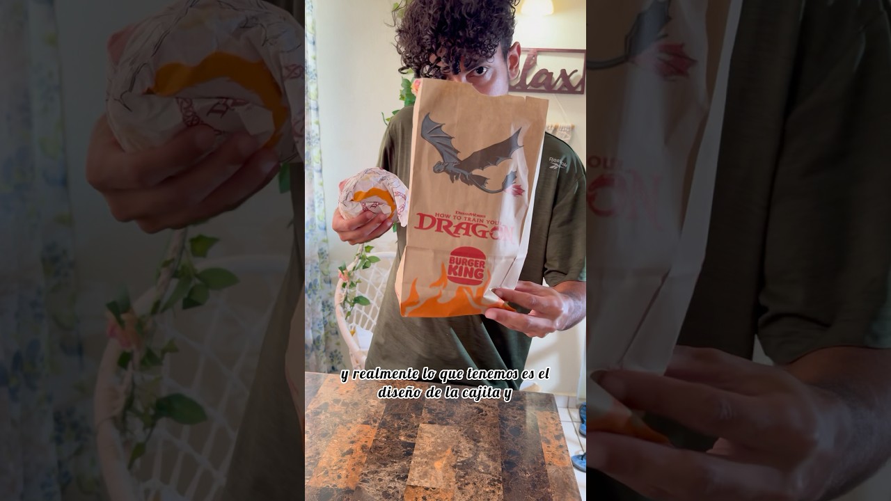 Burger King X How To Train Your Dragon Meal Toy 