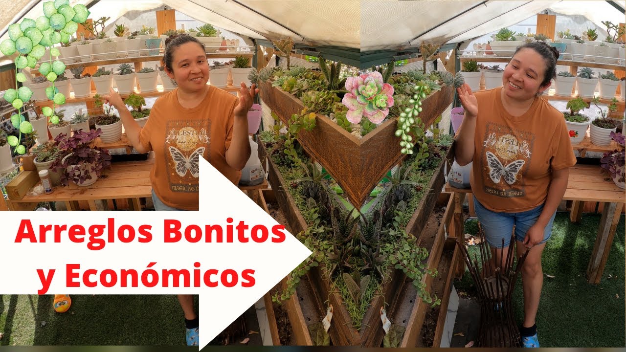 Preciosos Arreglos con Suculentas Con Poco Dinero y Reciclaje🥰 #jardineria #suculentas #garden