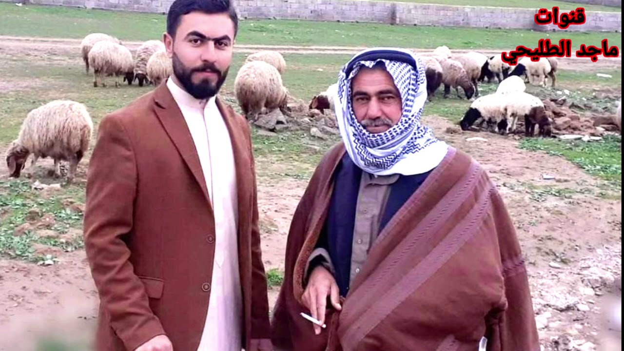#ماعز عراقية تلد خمسة توائم في قرية #كبرلي من توابع قضاء الحمدانية شرق الموصل