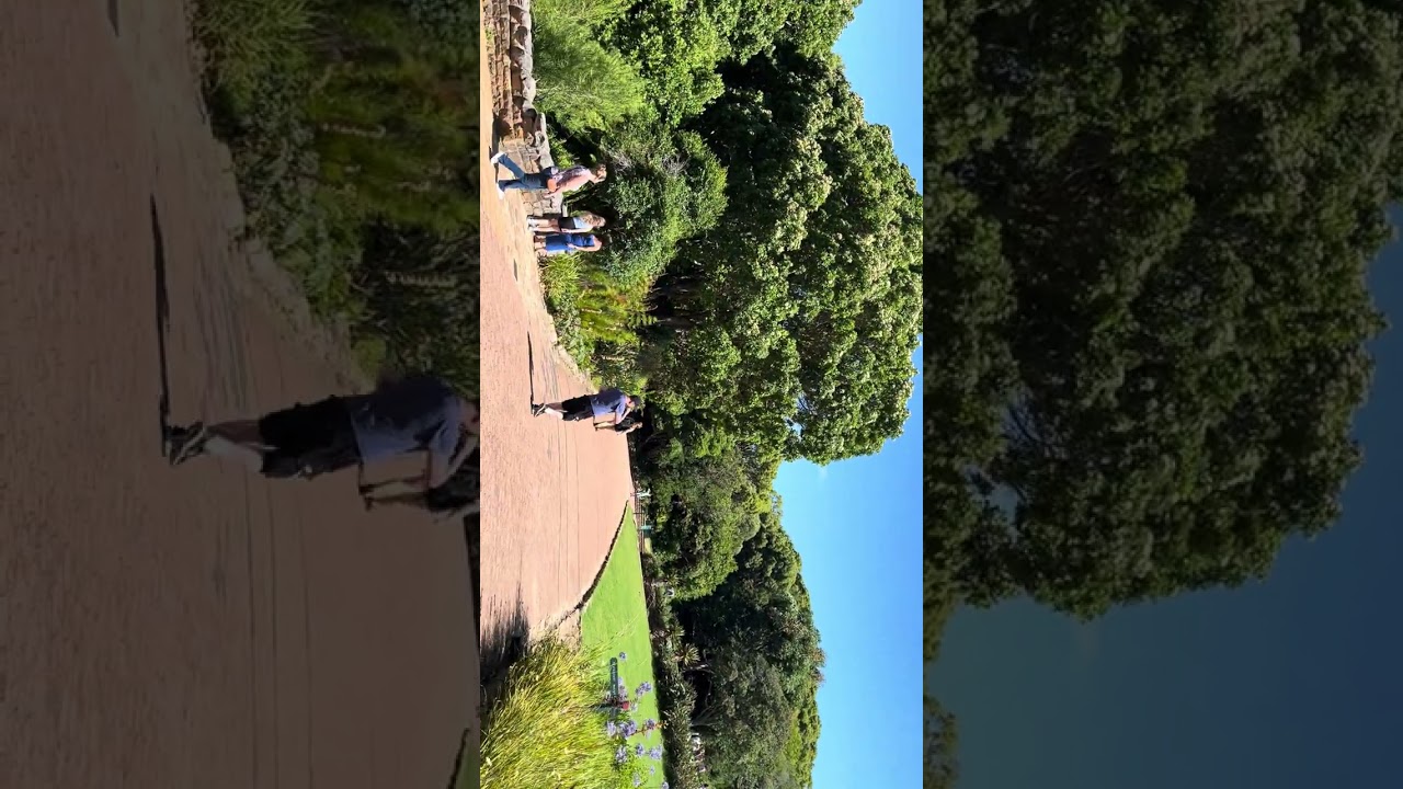 Kirstenboschgarden
