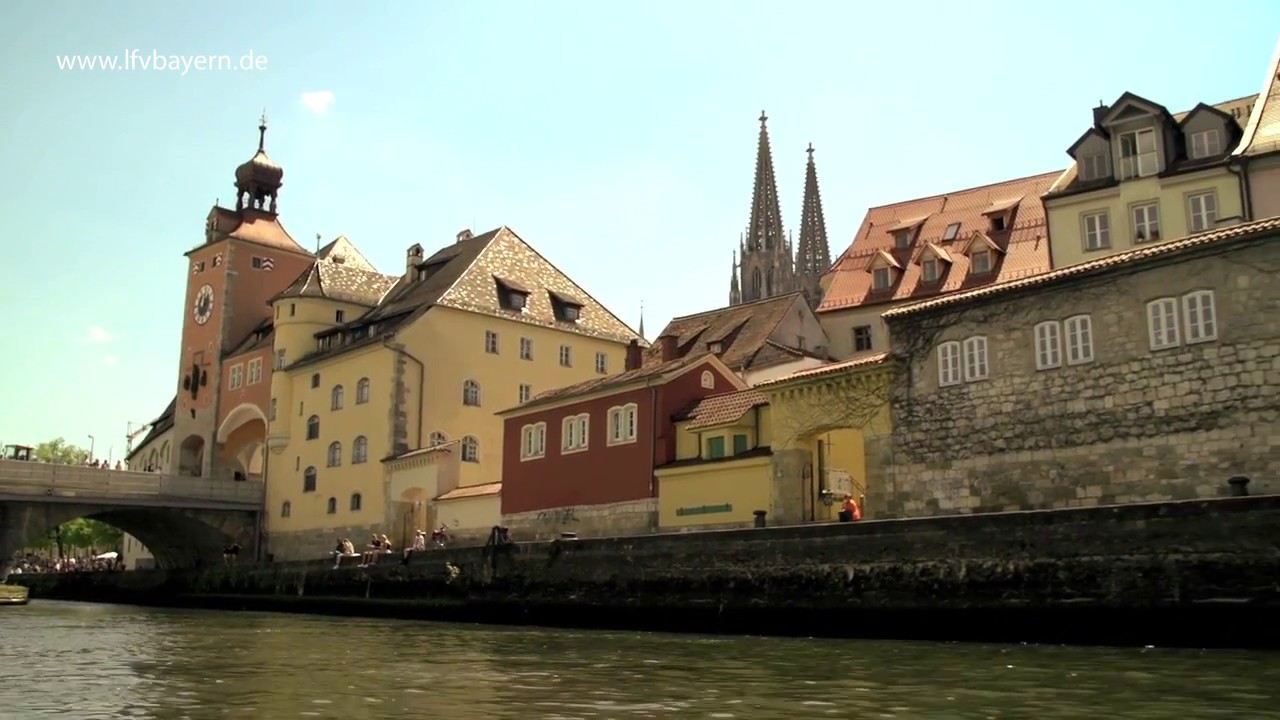 Neue Fische im Fluss