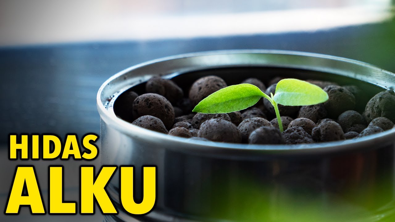 Taimien kasvatus alkoi vähän tahmeasti