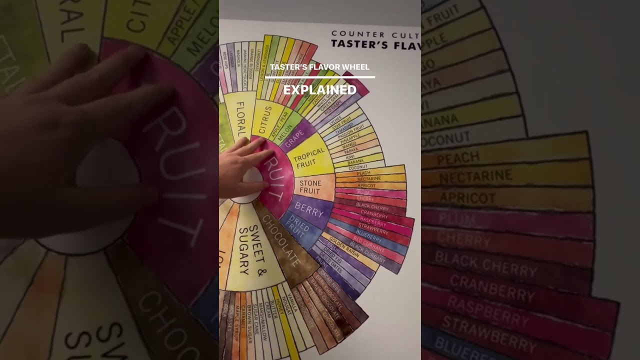 Intercontinental Coffee Trading - Coffee Taster's Flavors Wheel #greencoffeebeans #greencoffee