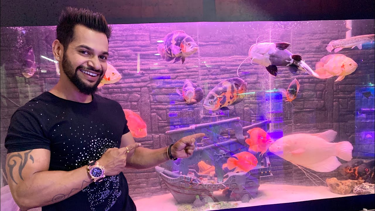 BIGGEST PET SHOP IN NAGPUR | NAGPUR DAILY VLOGS | VLOG-26 | ANI RAY