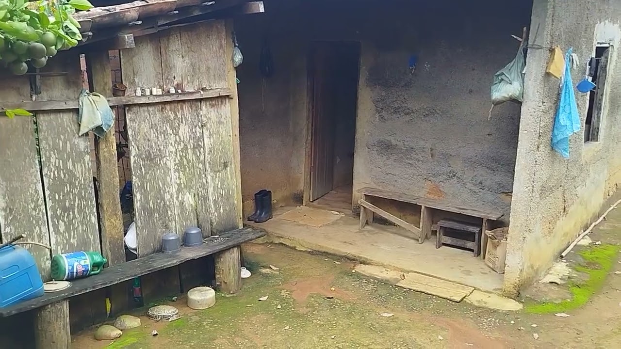 Coitado do meu amiguinho.