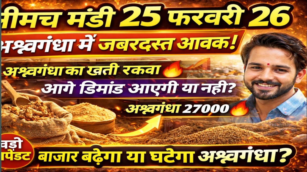नयी अश्वगंधा जड़ों का भाव। असगंध का भाव। Neemuch mandi ashwagandha ka bhav  ashwagandha bhav neemuch